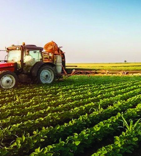 AGRICULTURAL-PROJECT-FINANCE AGRICULTURAL-PROJECT-FINANCE